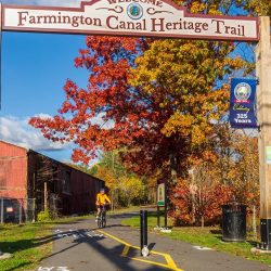 Fall leaves on a trailhead