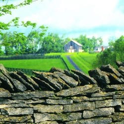 Stone fence seen on bike tour of Blue Ridge Parkway