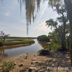 West Ashley Greenway in Charelston