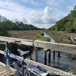 View from the West Ashley Greenway in Charleston