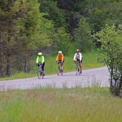 A group of happy cyclists enjoying the sunny roads through the forests of Colorado