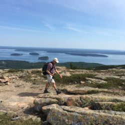 A hiker with a walking stick traverses Cadillac North Ridge Trail with a view across the Mt. Desert Narrows in Acadia National Park
