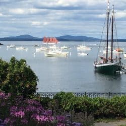 Boats in Bar Harbor near Acadia National Park