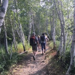 Hikers on a trail in Acadia National Park
