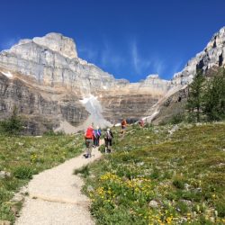 hikers on a trail hiking in banf national park