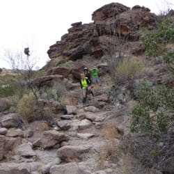 big bend national park