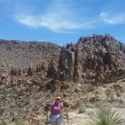 Big bend national park