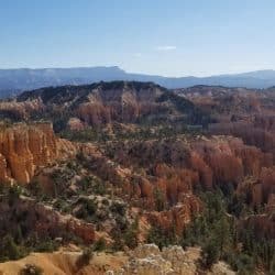 A scenic overlook at Bryce Canyon, revealing the intricate geological formations and rich hues of the canyon's natural beauty.