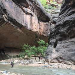 narrows in zion