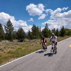 bike riders on a country road