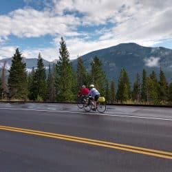 bike riders on a country road