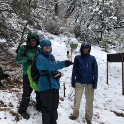 hikers in the snow