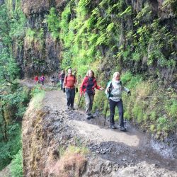 hikers on a ledge in nature
