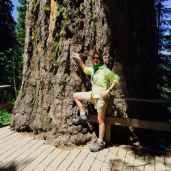 Hiker posing in front of a tree