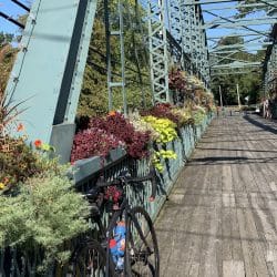 bikes along the east coast greenway