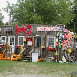 lobster shop in Maine