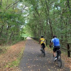 A pair of cyclists navigating a portion of the Great Allegheny Passage bike path in the woods, with trees lining the route and sunlight peeking through the leaves.