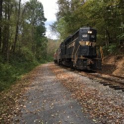train through nature