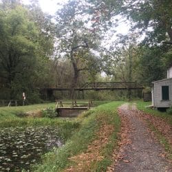 beautiful road in nature