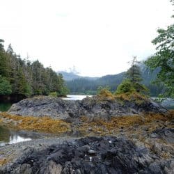 View from Glacier Bay National Park