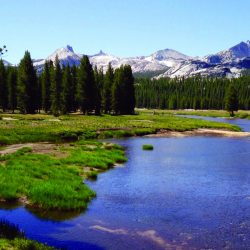 View of Mt. Zirkel Wilderness as seen from Elk River, Colorado