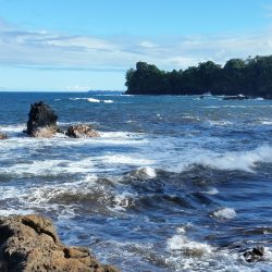 beautiful hawaii beach with waves