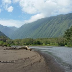 hikers on a beach in Hawaii