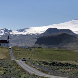 Iconic remote Dyjadalur church surrounded by blooming lupine, beneath the Snæfellsjökull glacier in western Iceland