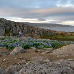Holmavik Vista in Iceland
