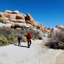 hikers in joshua tree