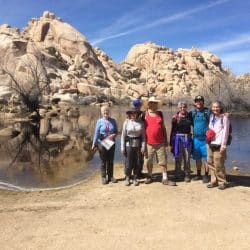 group of hikers in joshua tree