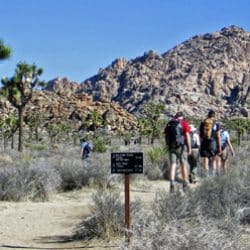 hiking through joshua tree