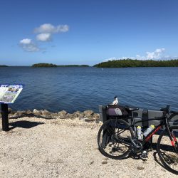 Bayou in Ding Darling National Wildlife Refuge