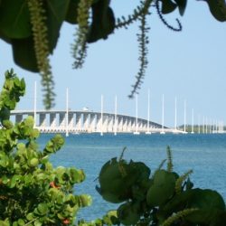 The Seven Mile Bridge, renowned for its length, links the Middle and Lower Keys in the scenic Florida Keys.