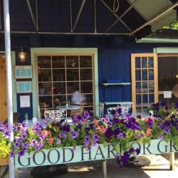 flowers outside of a storefront