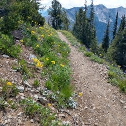Hiking the Pacific Crest Trail in North Cascades National Park