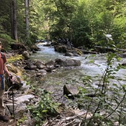 Panther Creek River in North Cascades National Park