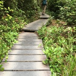 olympic national park trail