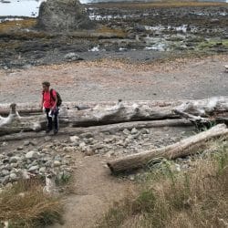 hiking an olympic national park trail