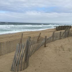 Beach in the Outer Banks in North Carolina