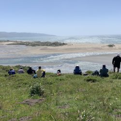 Hikers take a break in the grass at Drake's Head, overlooking the Pacific Ocean at Point Reyes National Seashore