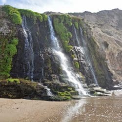 Alamere Falls in Point Reyes National Seashore