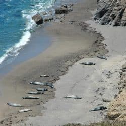 arial view of a beach