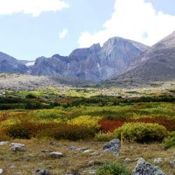 Fall colors paint the alpine tundra below The Diamond on Longs Peak in Rocky Mountain National Park