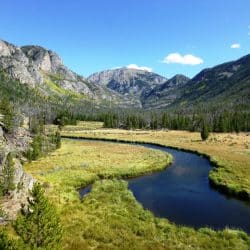 river through a grassy field