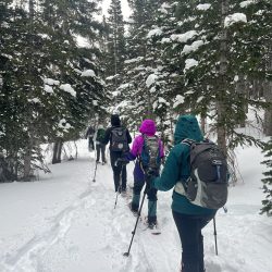 Colorful winter jackets contrast with the white snow and dark trees while snowshoeing in the Rocky Mountains
