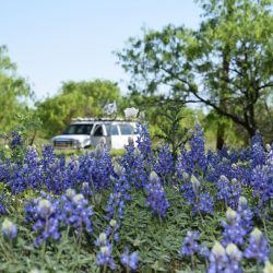 The Timberline van seen through a field of bluebonnets