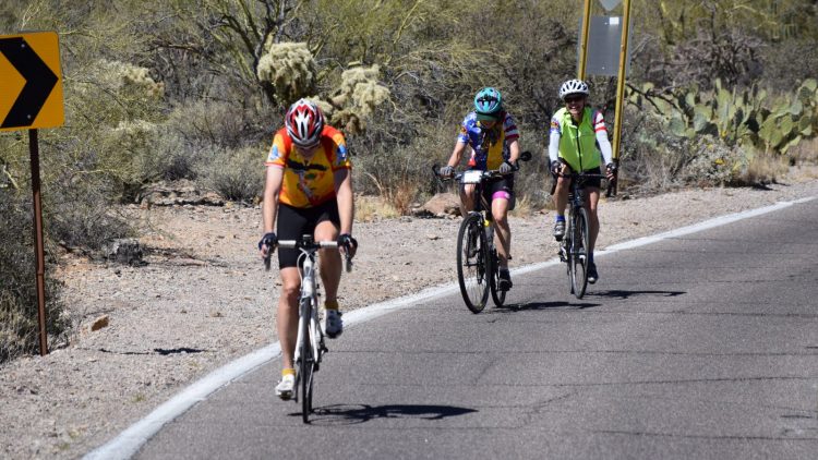 Timberline Adventures Invited to Sit on Bicycle Panel at Mountain Tourism Conference