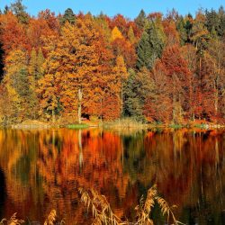 Vibrant fall colors are reflected in this Vermont lake.