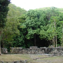 hike in the Virgin Islands